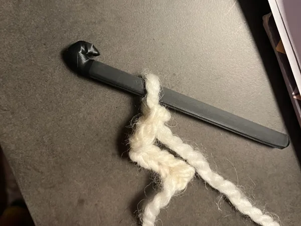 Crochet à tricoter 9 mm (Eagle Claw)