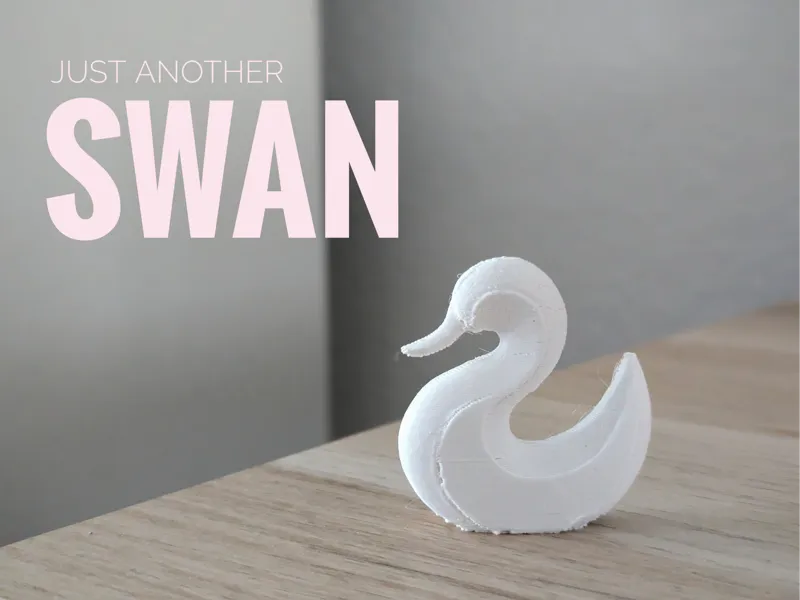 minimalistic swan