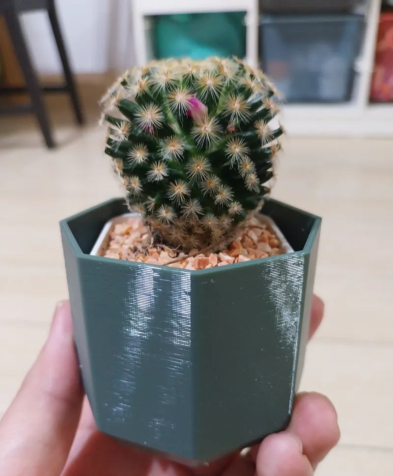 Hexagon plant pot