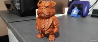Bouledogue — photo 5
