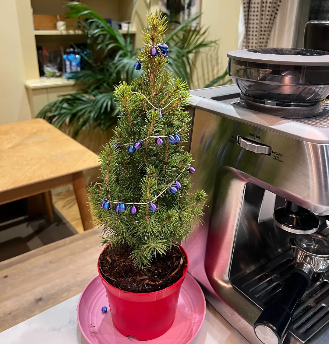 Lot de mini décorations de Noël
