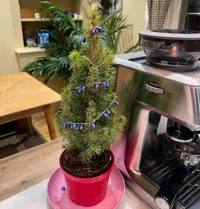 Lot de mini décorations de Noël — photo 1