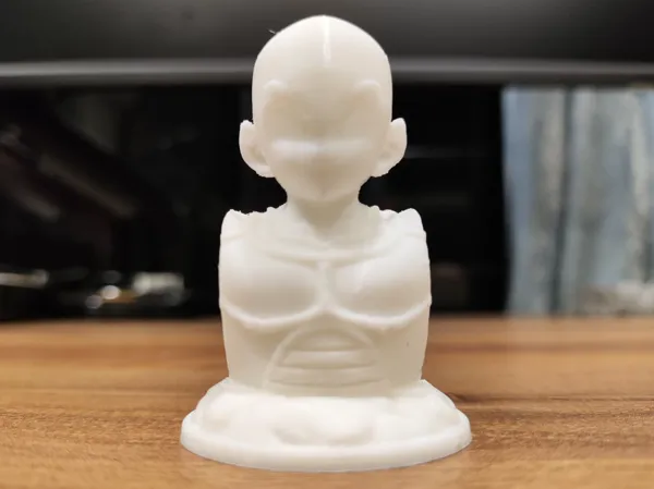 https://makerworld.bblmw.com/makerworld/model/USa33b5b060f24be/design/2025-01-23_7a21788d19861.jpg