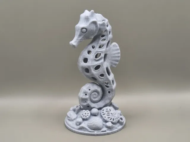 Elegant Seahorse with Coral Base