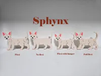 Sphinx Naked cat no flexi