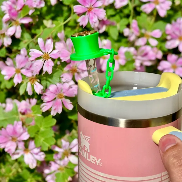 https://makerworld.bblmw.com/makerworld/model/USa340e8fb81195a/design/2024-03-12_8551d5438ff9f.jpg
