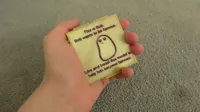 Bob