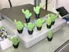 A Collection of Six Cacti