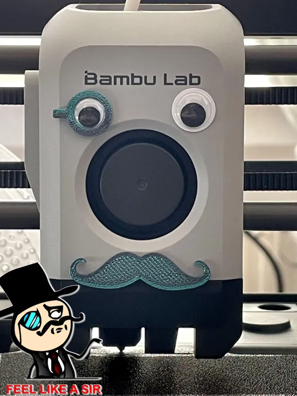 https://makerworld.bblmw.com/makerworld/model/USa349b69753fc9a/design/2023-10-12_2736114264a.webp