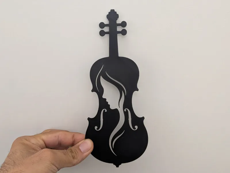 La Donna nel Violino