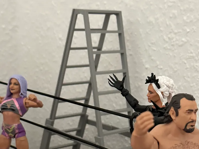 WWE Leiter für Action Figuren (Mattel...)