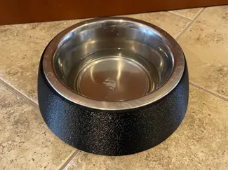 Dog Bowl Stand