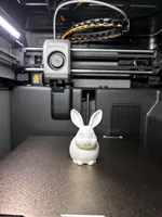 0.2mm layer, 2 walls, 5% infill