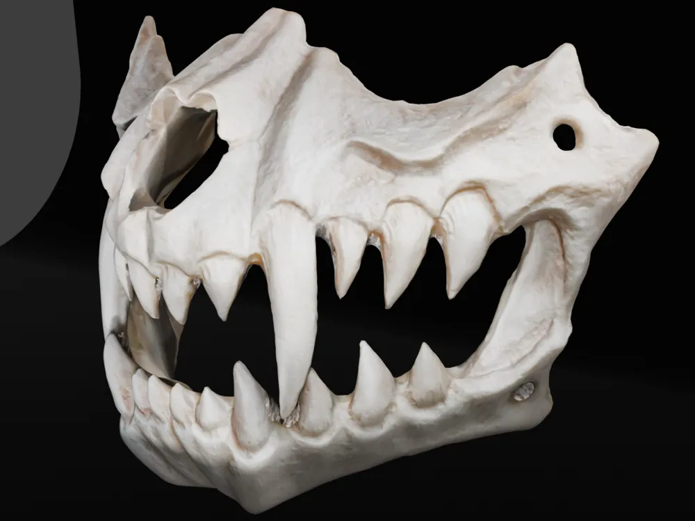 HALLOWEEN SKULL MASK