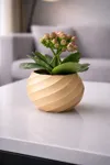 140 mm in Diameter