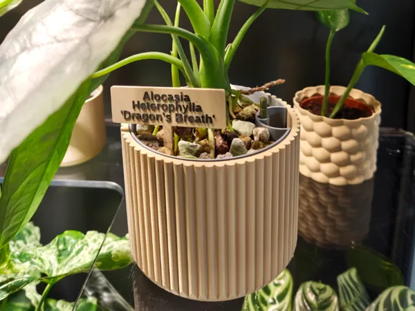 https://makerworld.bblmw.com/makerworld/model/USa3621bdcb01d7a/design/e09c93c424263703.jpg