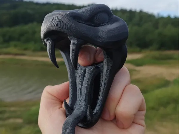 https://makerworld.bblmw.com/makerworld/model/USa368b7417afc0/design/2025-07-17_ea525ec887f61.jpg