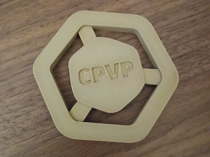 CPVP Logo