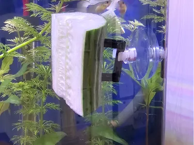 Aquarium Vegetable Holder