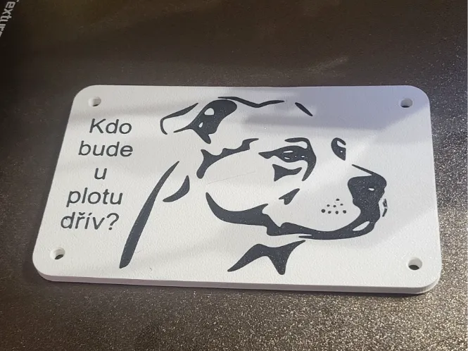 Pitbull na plot