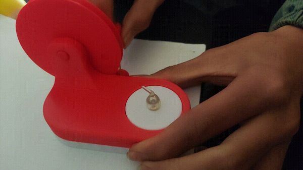 https://makerworld.bblmw.com/makerworld/model/USa370c0bee349bc/design/6451546f-b545-4d53-a371-6d9497f5bf53.gif