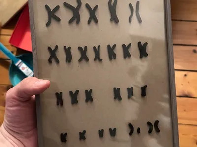 Human Genome Art 