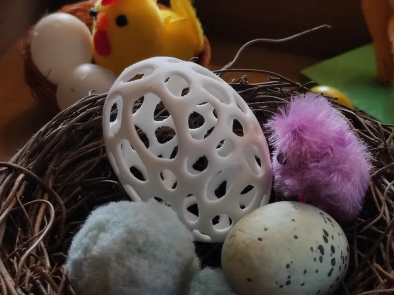 Organic Egg