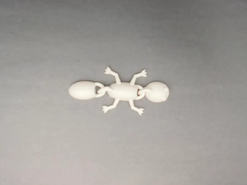 Flexi Lizard