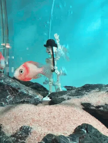 Adorno temático: Dancing Charlie Aquarium Oxygenation Toy — vista de referencia 2