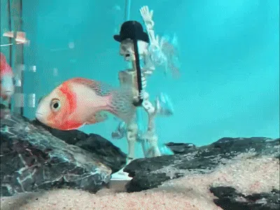 Adorno temático: Dancing Charlie Aquarium Oxygenation Toy. Referencia del modelo original.