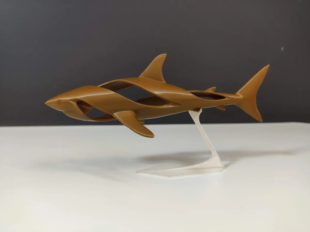 Whirpool Shark view 4
