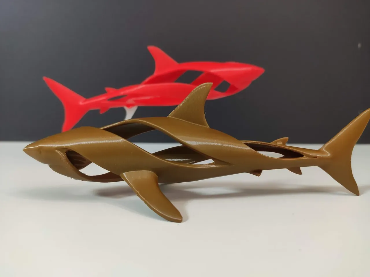 Whirpool Shark view 2