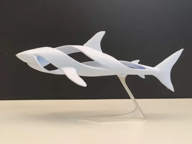 Whirpool Shark