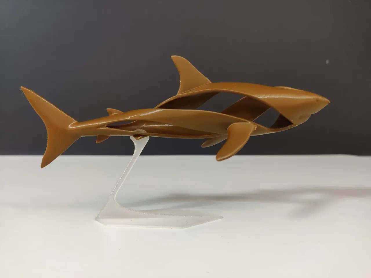 Whirpool Shark view 3