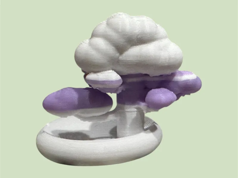 Bonsai Tree in pot