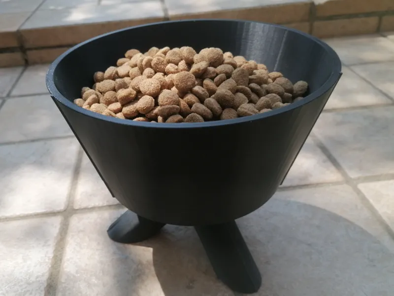 CIOTOLA PER CANE