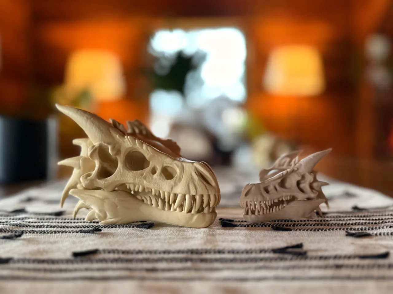 Dragon Skull Fossil view 2