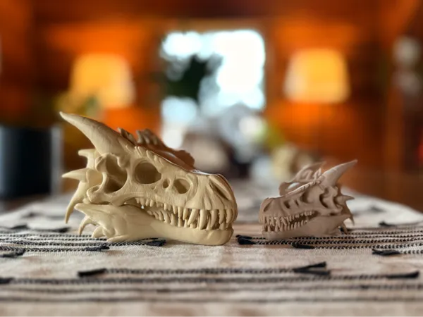 https://makerworld.bblmw.com/makerworld/model/USa392a45ca5e003/design/2025-03-15_c9d06c5522d3b.jpg