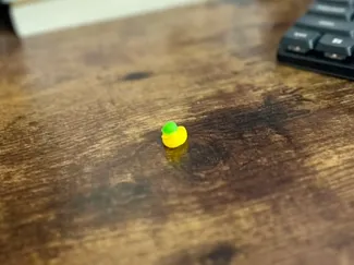Tiny duck wearing a construction hat