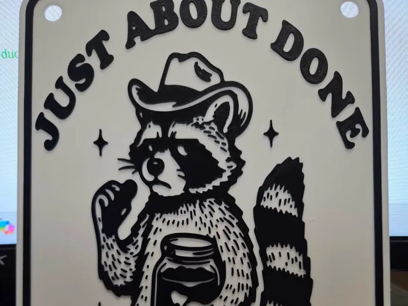dillin racoon