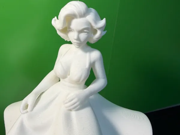 https://makerworld.bblmw.com/makerworld/model/USa3984e3a07d3b6/design/1b36d125e88e14e6.jpeg