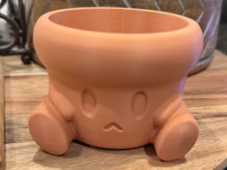 Sad Succulent Pot