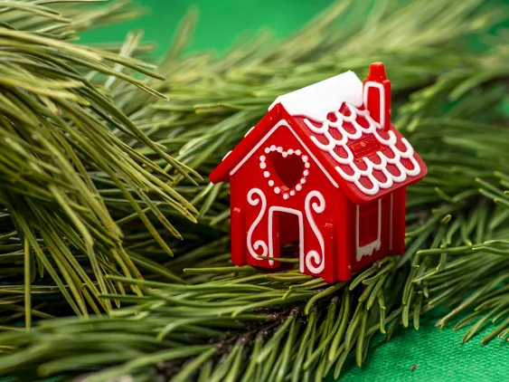 Gingerbread House Kit Card view 4