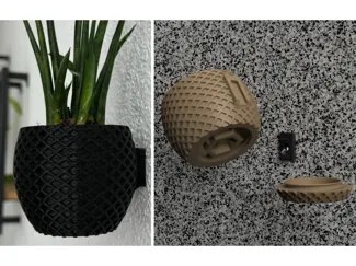 Vase to mount on wall with removable drainage