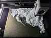 Designer Profile (0.16mm layer, Grid infill)