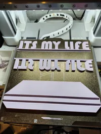 250 mm"ITS MY LIFE" 0.2mm layer, 2 walls, 15% infill