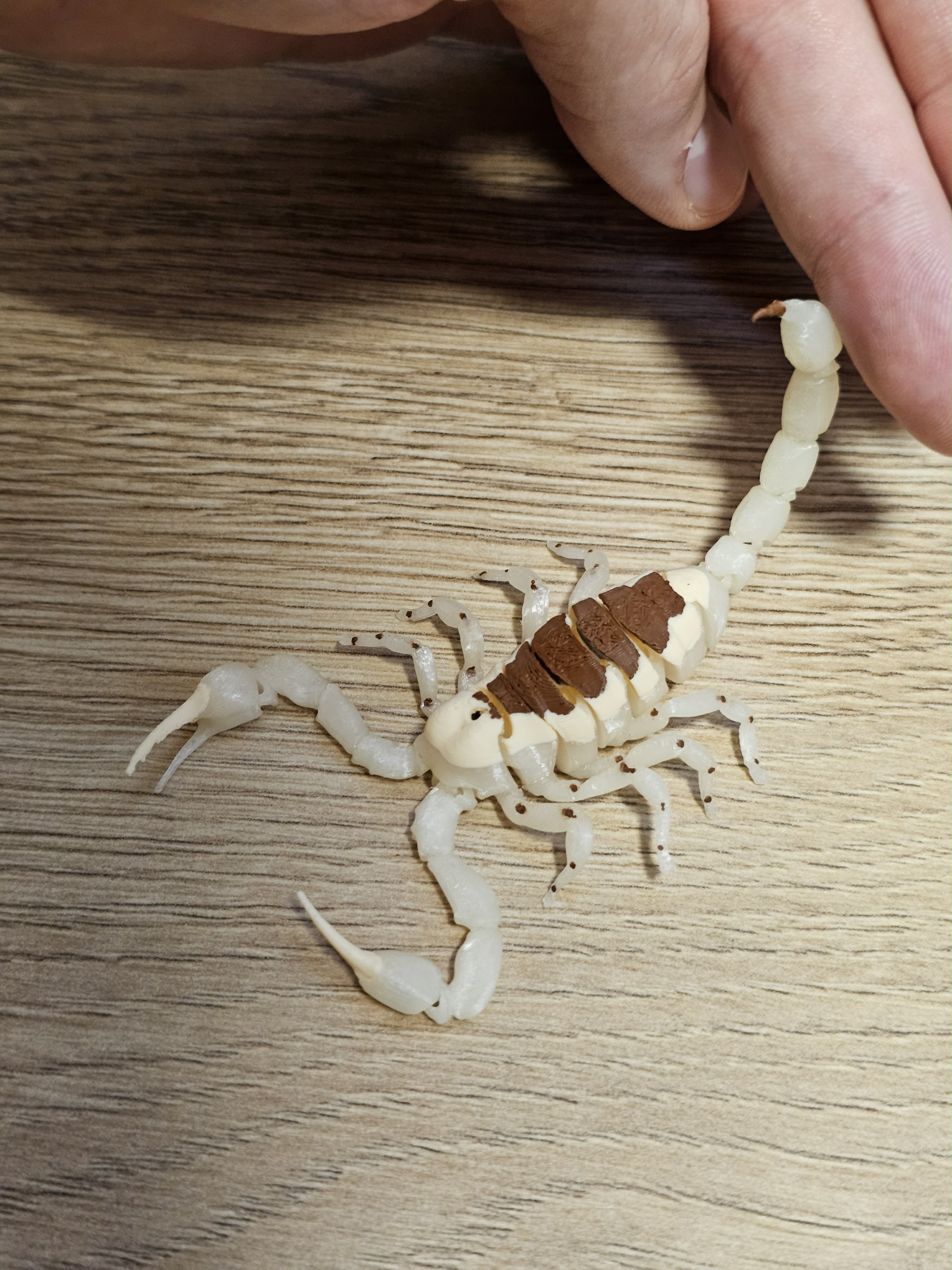 Realistic Flexi Desert Scorpion - 1