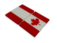 Full Color Canada Passport Case