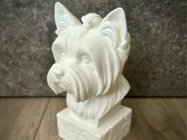 https://makerworld.bblmw.com/makerworld/model/USa3be35608c4242/design/2025-06-01_f9b28127f5821.jpeg