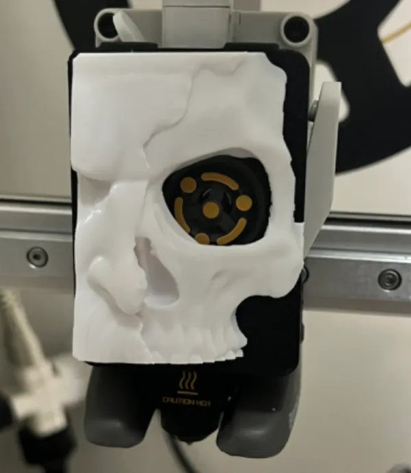 https://makerworld.bblmw.com/makerworld/model/USa3bea8c57737e5/design/2024-10-13_10fbc437582fa8.jpg